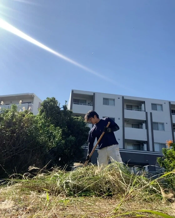 画像254