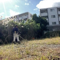 画像255