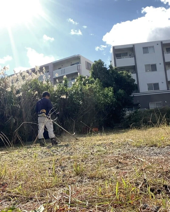 画像255