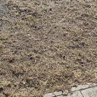 画像258