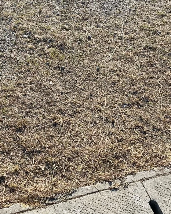 画像258