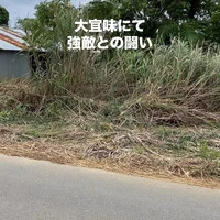 画像262