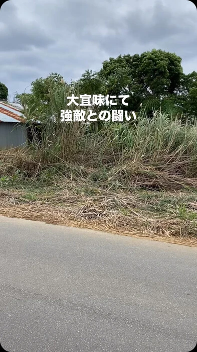 画像262