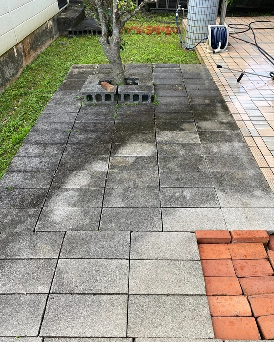 画像268