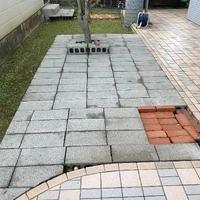 画像269