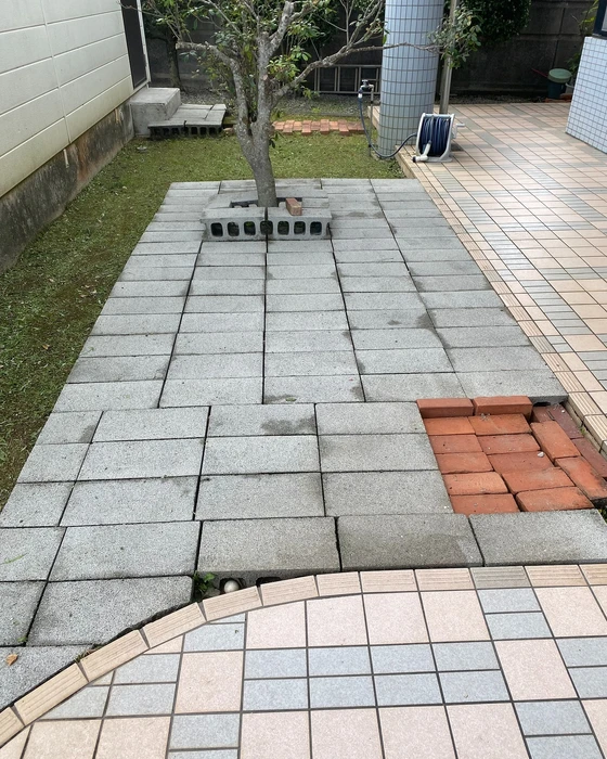 画像269
