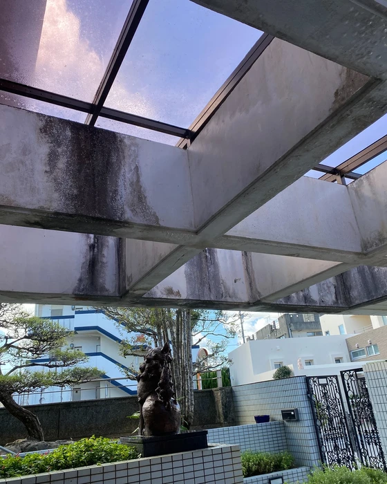 画像270
