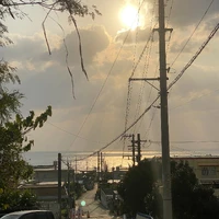 画像294