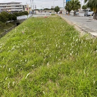 画像297