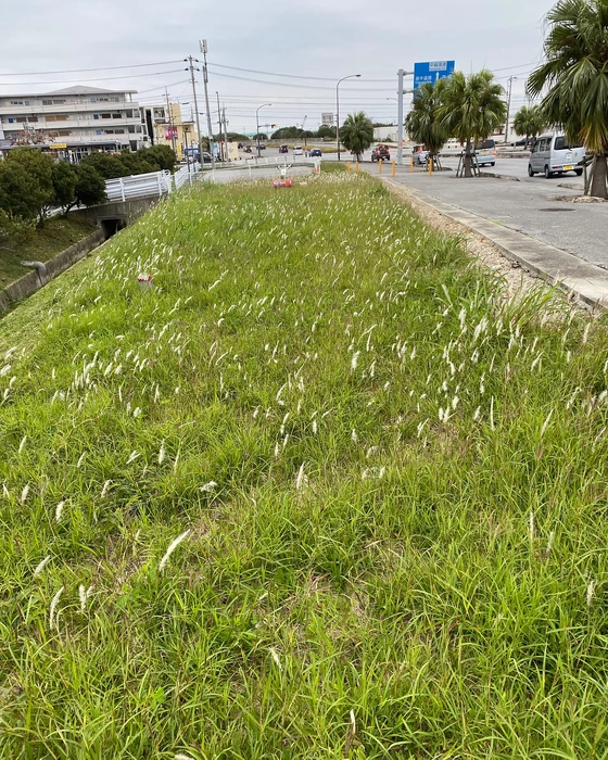 画像297