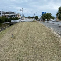 画像298