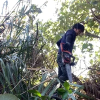 画像308