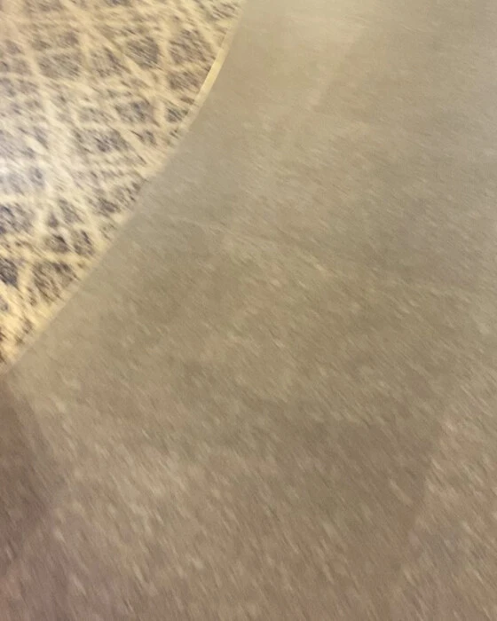 画像338