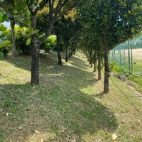 画像388