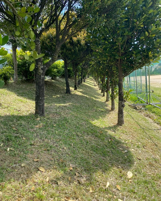 画像388
