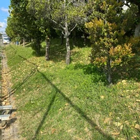 画像389