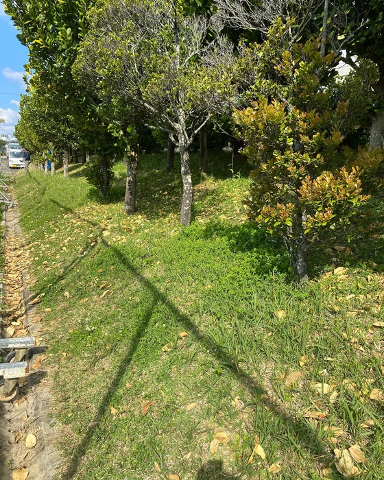 画像389