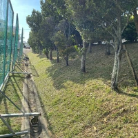 画像390