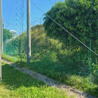 画像406