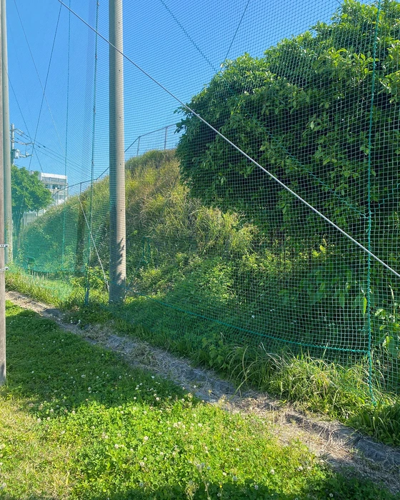 画像406