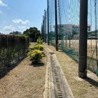 画像413