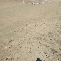 画像415
