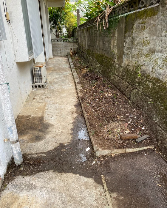画像450