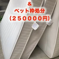 画像491