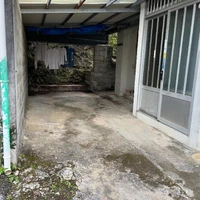 画像507