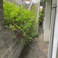 画像522