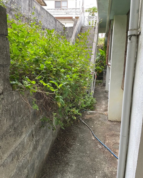 画像522