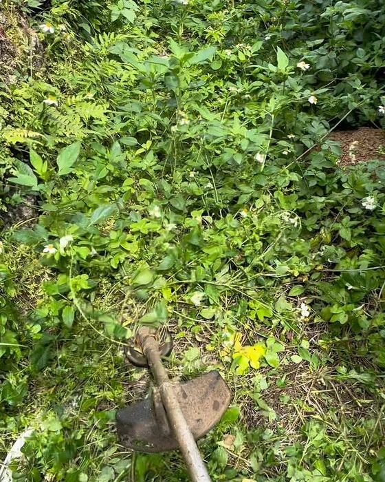 画像525