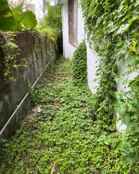 画像526