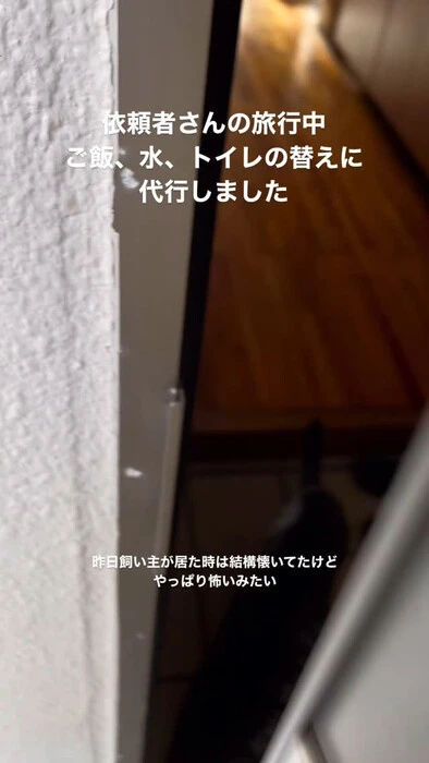 画像559