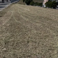 画像561