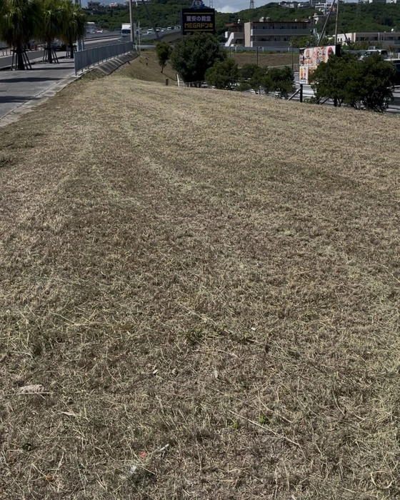 画像561