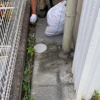 画像593