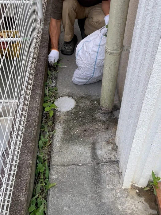 画像593