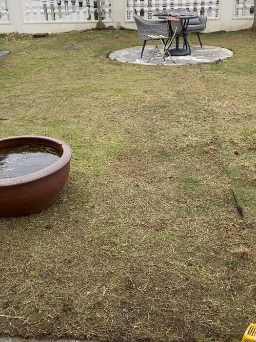 画像607