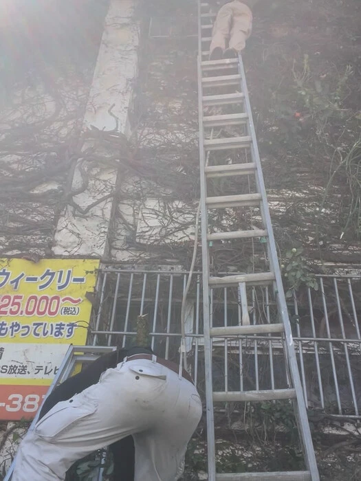 画像642