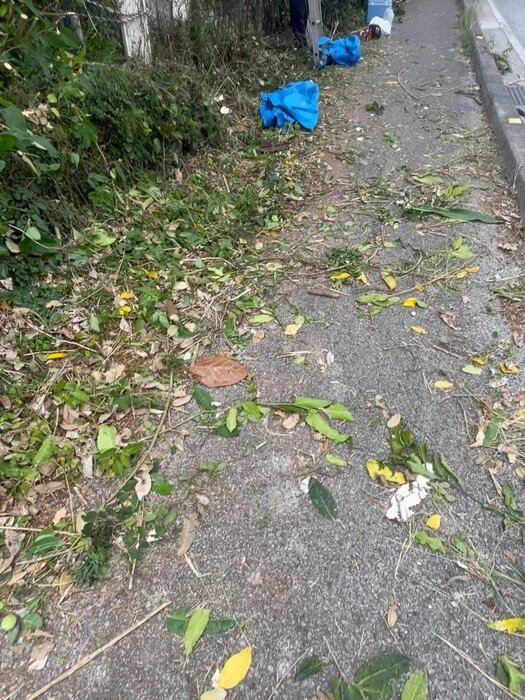 画像643