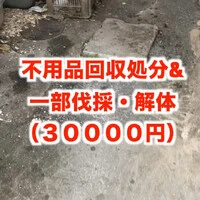 画像703
