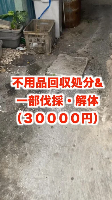 画像703