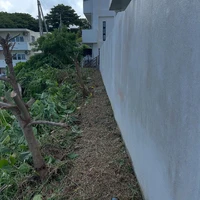 画像714