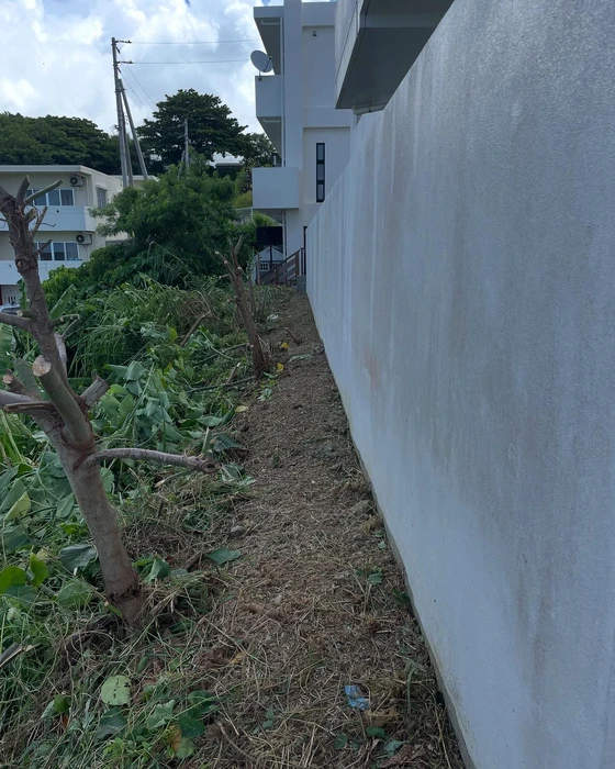 画像714