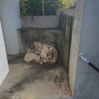 画像752