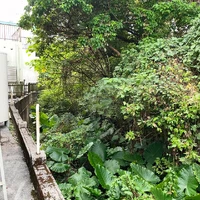 画像759