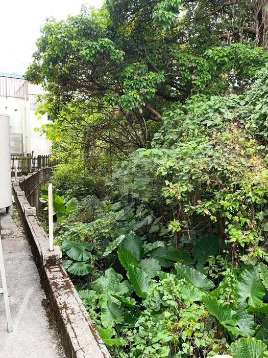画像759