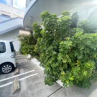 画像776