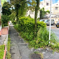 画像813